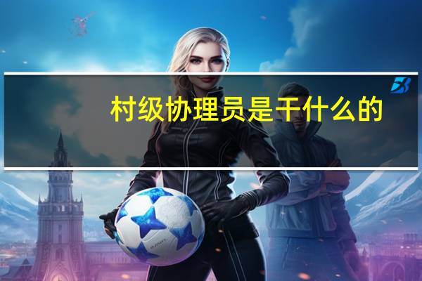 村级协理员是干什么的