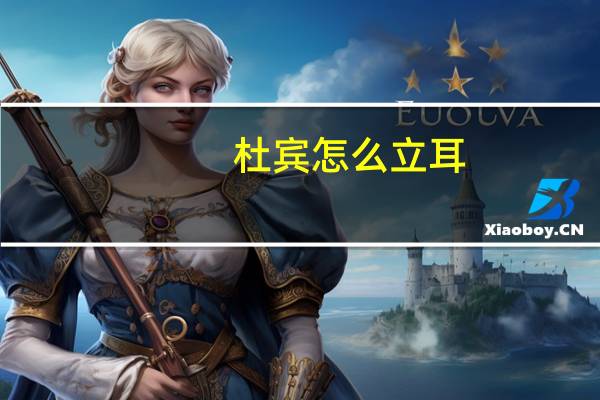 杜宾怎么立耳