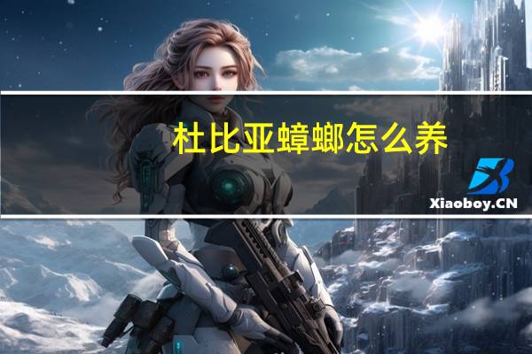 杜比亚蟑螂怎么养