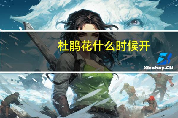 杜鹃花什么时候开?