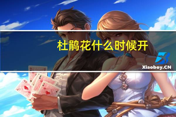 杜鹃花什么时候开？