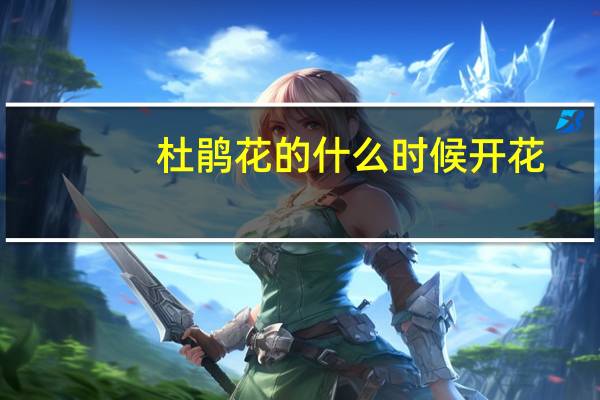 杜鹃花的什么时候开花