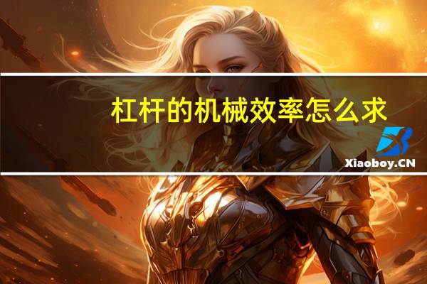 杠杆的机械效率怎么求