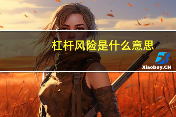 杠杆风险是什么意思