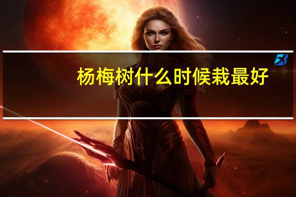 杨梅树什么时候栽最好