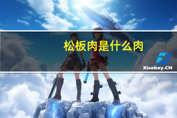 松板肉是什么肉