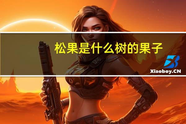 松果是什么树的果子