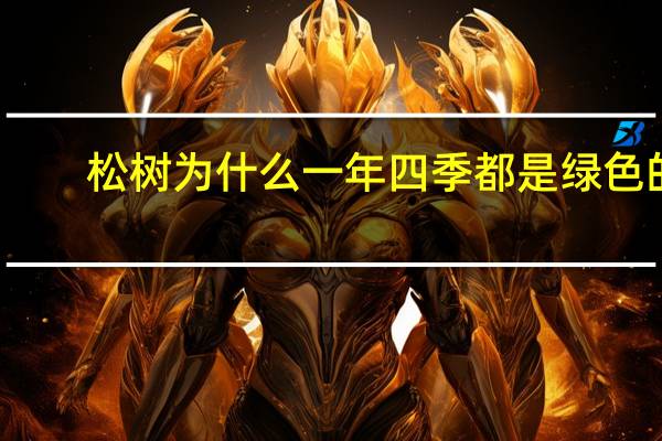松树为什么一年四季都是绿色的