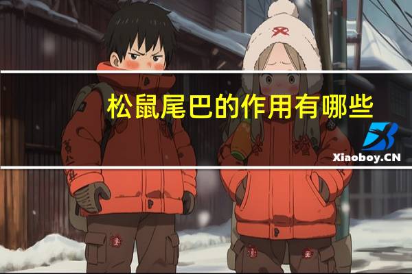 松鼠尾巴的作用有哪些