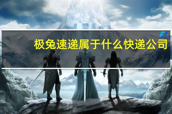 极兔速递属于什么快递公司