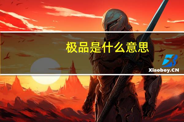 极品是什么意思