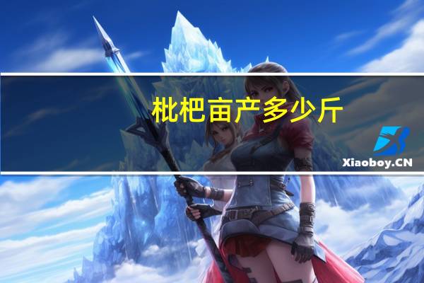 枇杷亩产多少斤