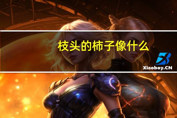 枝头的柿子像什么