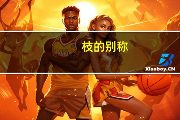 枝的别称