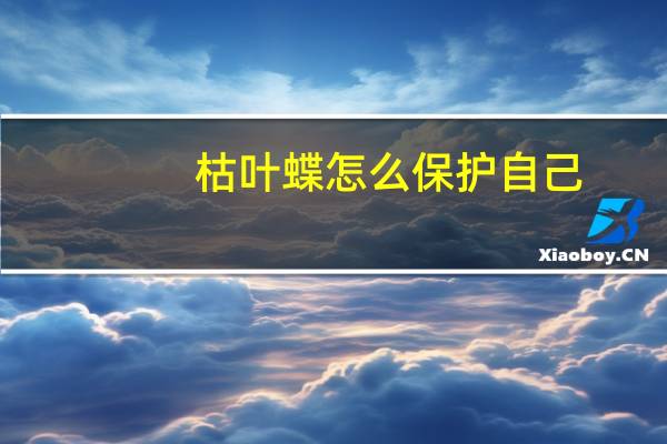 枯叶蝶怎么保护自己