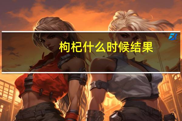 枸杞什么时候结果