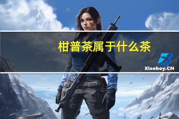 柑普茶属于什么茶