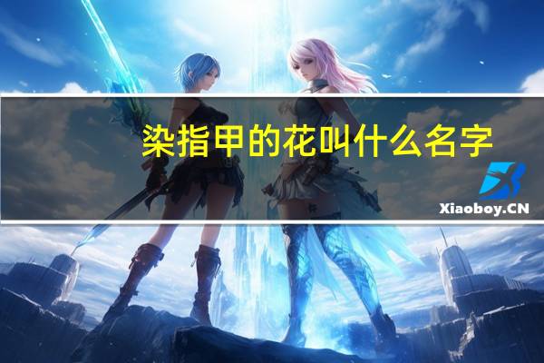 染指甲的花叫什么名字
