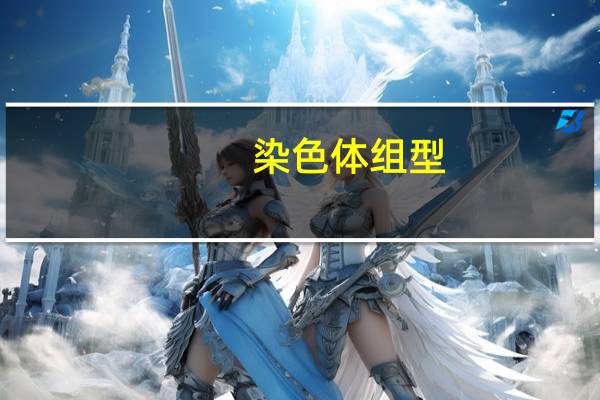 染色体组型