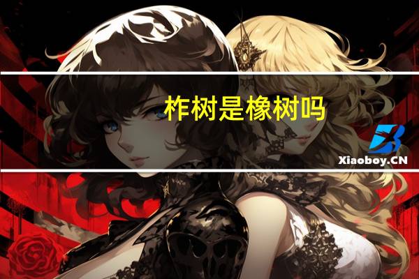 柞树是橡树吗