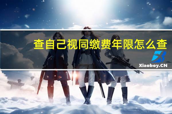 查自己视同缴费年限怎么查