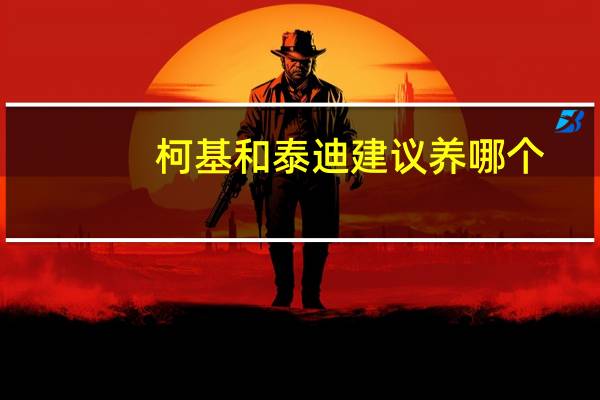 柯基和泰迪建议养哪个