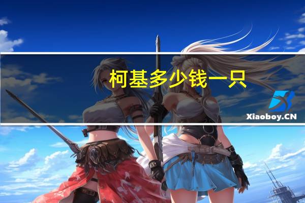 柯基多少钱一只