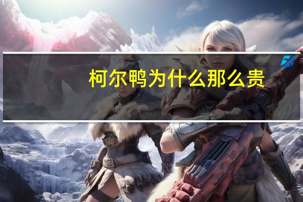 柯尔鸭为什么那么贵