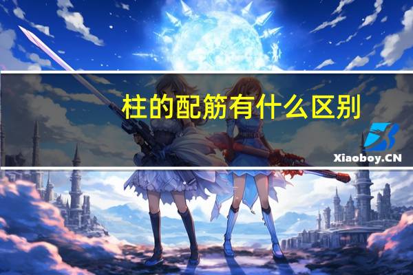 柱的配筋有什么区别