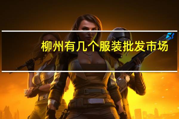 柳州有几个服装批发市场