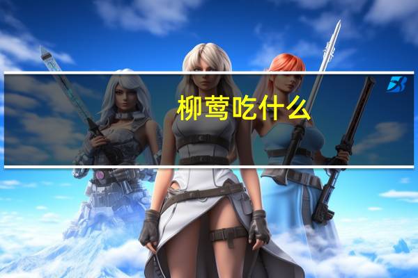 柳莺吃什么