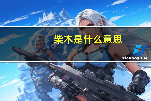 柴木是什么意思