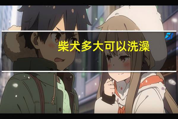 柴犬多大可以洗澡