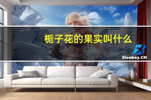 栀子花的果实叫什么