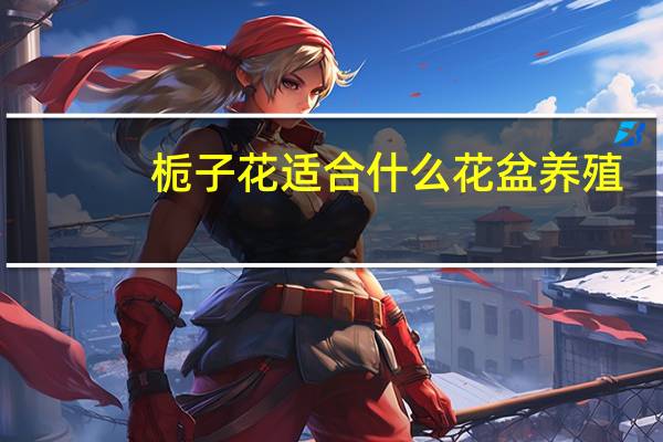 栀子花适合什么花盆养殖