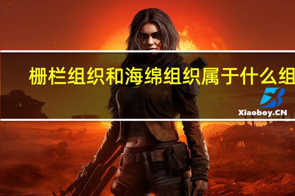 栅栏组织和海绵组织属于什么组织