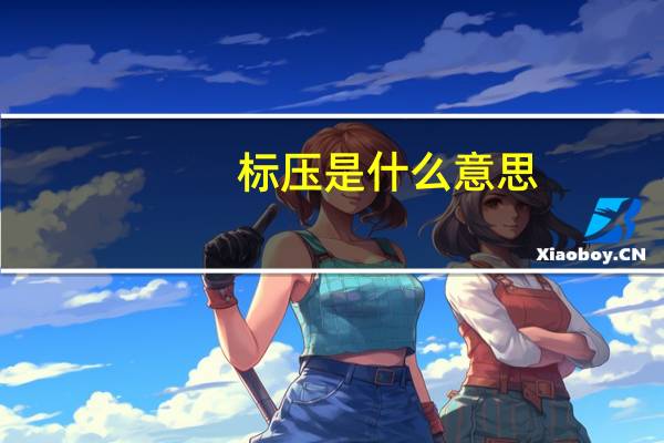 标压是什么意思