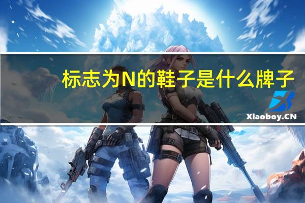 标志为N的鞋子是什么牌子
