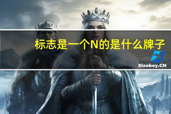 标志是一个N的是什么牌子