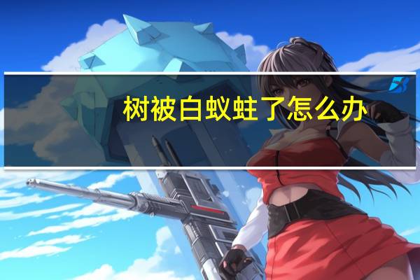树被白蚁蛀了怎么办