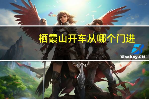 栖霞山开车从哪个门进