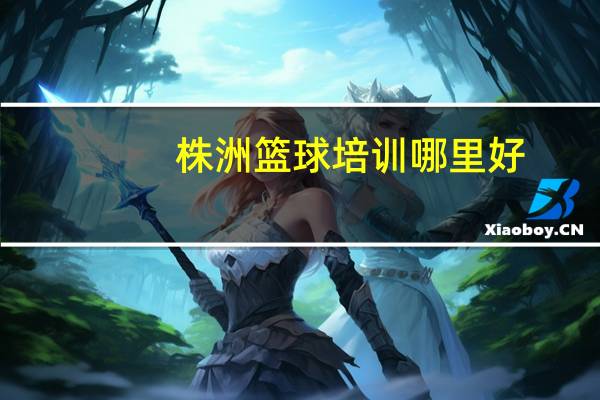 株洲篮球培训哪里好