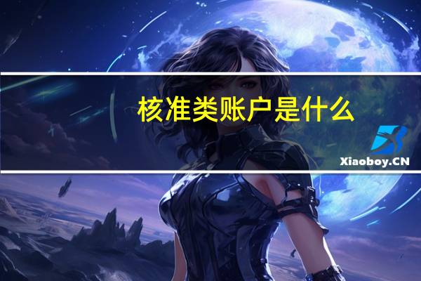 核准类账户是什么