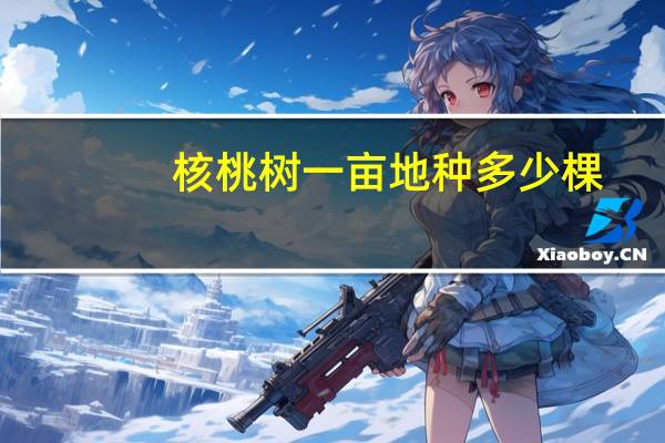 核桃树一亩地种多少棵