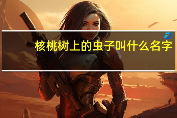 核桃树上的虫子叫什么名字
