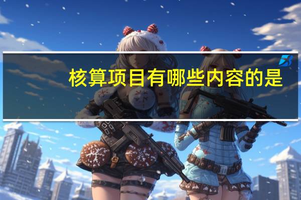 核算项目有哪些内容的是