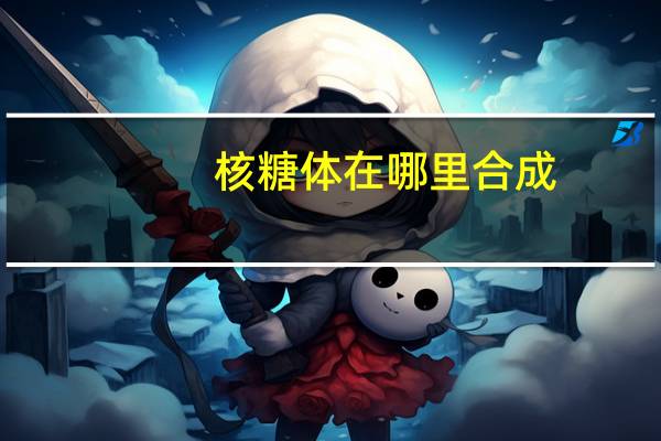 核糖体在哪里合成