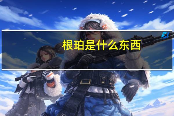 根珀是什么东西