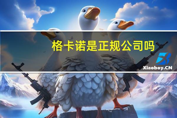 格卡诺是正规公司吗