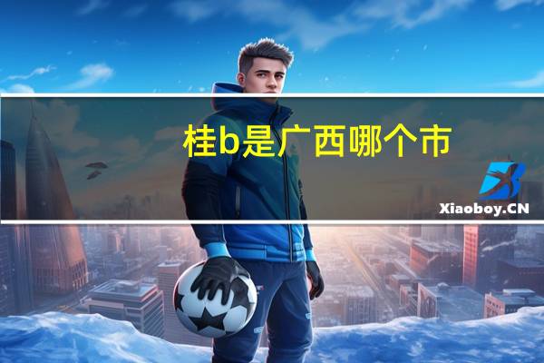 桂b是广西哪个市